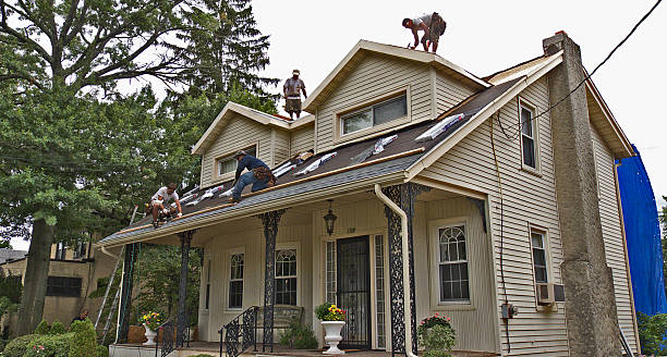 Roof Gutter Cleaning in Nokomis, FL